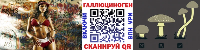 это Telegram  Сосновоборск  Галлюциногенные грибы Psilocybine cubensis  OMG ONION 