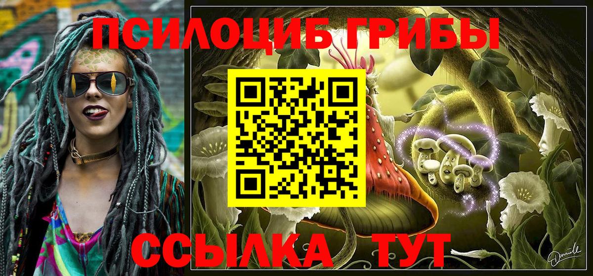 Сосновоборск  как найти закладки  Галлюциногенные грибы мухоморы  Вход с VPN  Псилоцибиновые грибы мухоморы 